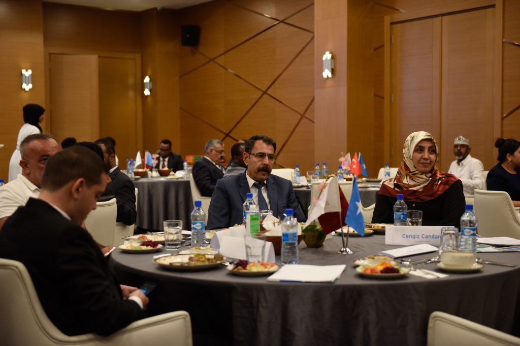 Turkish Investment in Somalia