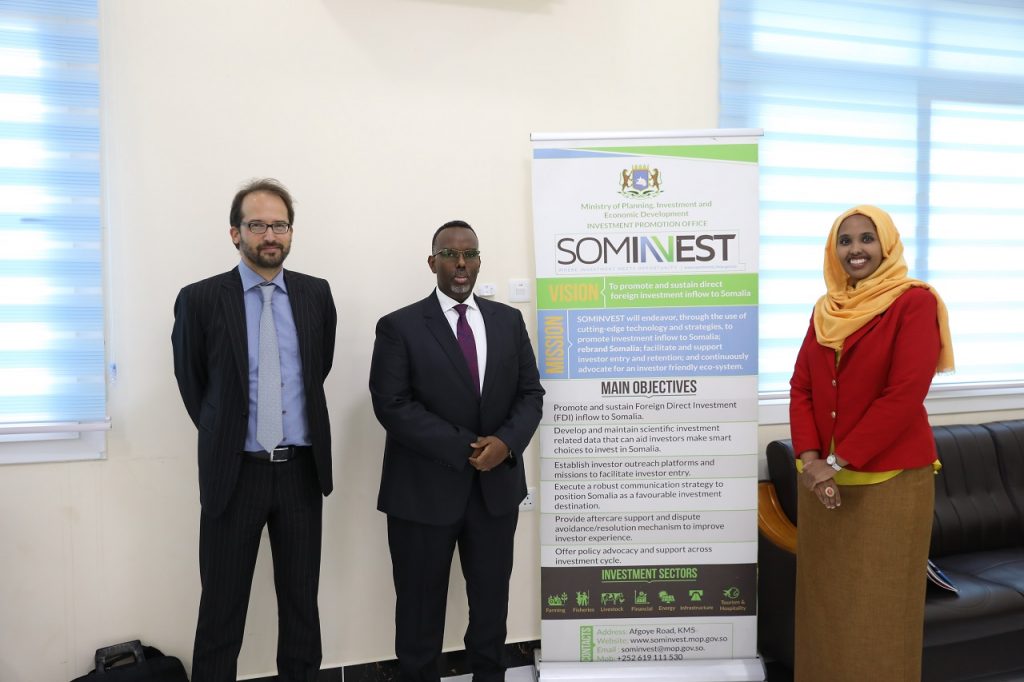 SOMINVEST_INVESTOR
